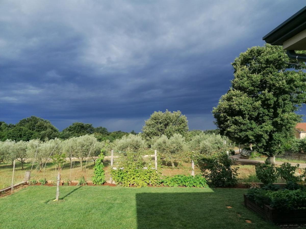 Ferienresidenz Lavandula Nova Vas  Dış mekan fotoğraf